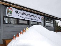 Akevitt_Breivann_2011