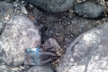 IMAG0030_1