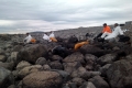 IMAG0032_1
