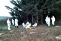 IMAG0034_1