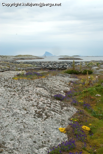 DSC_0076_2607.jpg